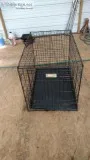 Medium Dog Cage