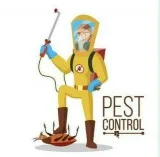 Pest control near me for termites