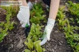 Searching for Landscaping services near Port Angeles
