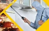 Pest control Noida