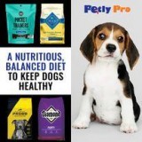 Online Pet Shop In Las Vegas