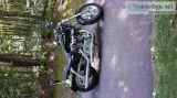Harley Davidson Sportster 1200 Custom