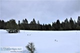 Lightly Treed 5 Acres