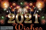 New Year Packages 2021 near Delhi  New Year celebration