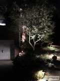 Landscape Lighting in Montvale NJ