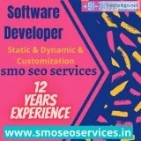 Best software development company in delhi