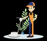 Carpet Cleaning Gidgegannup
