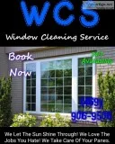 Window Cleaning Service