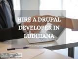 Hire a drupal developer in ludhiana | ln webworks