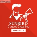 Sunbird Carpet Cleaning Severna Park  Carpet Cleaning Severna Pa