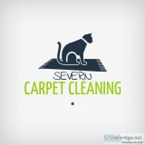 Severn Carpet Cleaning  Carpet Cleaning Severn