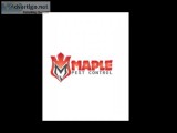 Pest Control and Removal In Toronto