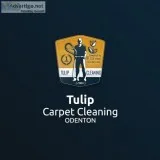 Tulip Carpet Cleaning Odenton  Carpet Cleaning Odenton