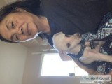 20hour caregiver