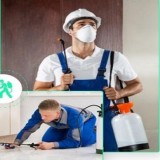 Pest Control Near Me  Thepestandtermitecom pany.com.au
