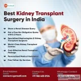 Kidney replacement therapy: know the important points