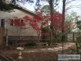 Property cleanups lawn care and hauling.