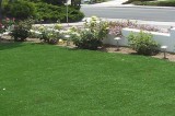 Artificial Grass in San Diego
