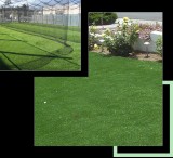 Synthetic Grass