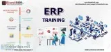 Online ERP Training