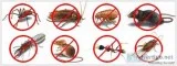 On Time Pest Control Werribee