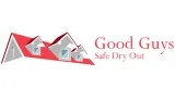 Surface Mold Removal