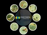 Carpet Cleaning Randwick