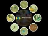 Carpet Cleaning Blue Mountains