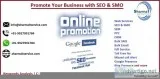 SEO Expert    Graphics Designing Company