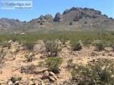 40 acres in Sunny Luna County New Mexico w1000s of Govt Land all
