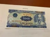 Vietnam 5000 dong uncirc. banknote 1991