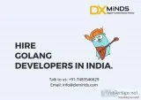 Hire Golang Developers in India  DxMinds