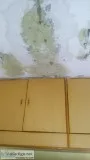 Roof leakage Waterproofing Contractors in Chennai