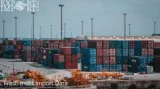 Fresh fruits import data