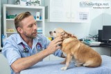 Emergency Vet Clinic Sydney