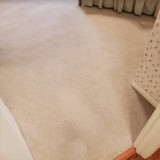 Eco-Friendly Carpet Cleaning Services Springfield IL