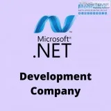 Hire .NET Developers  Mobiloitte