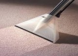 Best Rug Cleaning service Gold Coast