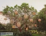 Top Wedding Decorators in Hyderabad