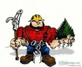 Clear you&rsquore lot to make that Sale - Tree Service
