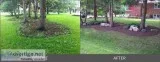 Lawn And Garden