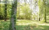 2 pristine lots in a Lakeside Community - 0 Dogwood Trl Lot 28 a
