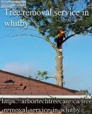 Tree removal service in whitby
