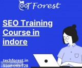 SEO training in indore