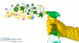Spring Cleaning Services using Eco-Friendly Products