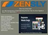 No.1 Digital Marketing Company in Delhi India  Zensly