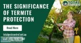The Significance of Termite Protection Shepparton