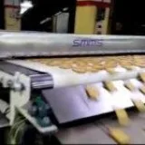 Frozen food metal detector