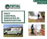 Top 3 Types Of Termite Treatment Shepparton &ndash A Total Pest 