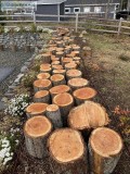 Firewood for Sale